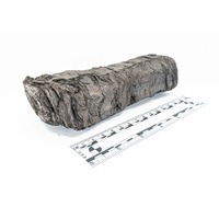 Researchers Identify Author Of Ancient Scroll Carbonized By Vesuvius