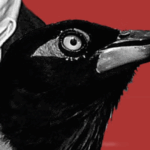 Going Down The Rabbit Hole Of Info About The Most Egregious Bird In Movie History