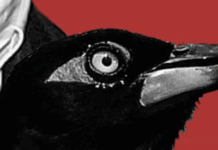 Going Down The Rabbit Hole Of Info About The Most Egregious Bird In Movie History