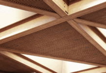 The Teddy Roosevelt Presidential Library Will Be A Different Experience