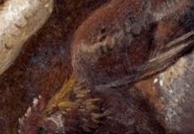 Advice For Writers From A Bird Observer