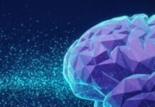 Neuroscientists Note How The Brain Processes Metaphor