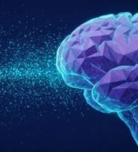 Neuroscientists Note How The Brain Processes Metaphor