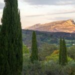 Celebrating Cezanne In The Place Where He Was