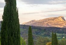 Celebrating Cezanne In The Place Where He Was