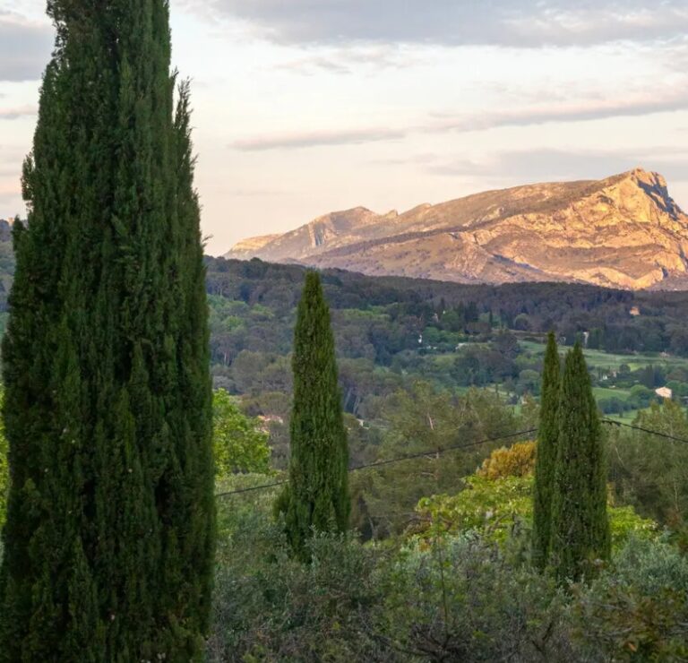 Celebrating Cezanne In The Place Where He Was