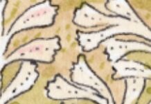 Why Have Museums Become Contentious Spaces?