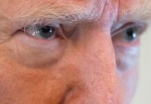 Trump Declares War On Foreign Movies