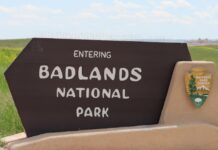 What The National Parks Contribute