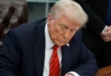 Public Media Gears Up To Fight Elimination Of Federal Funding