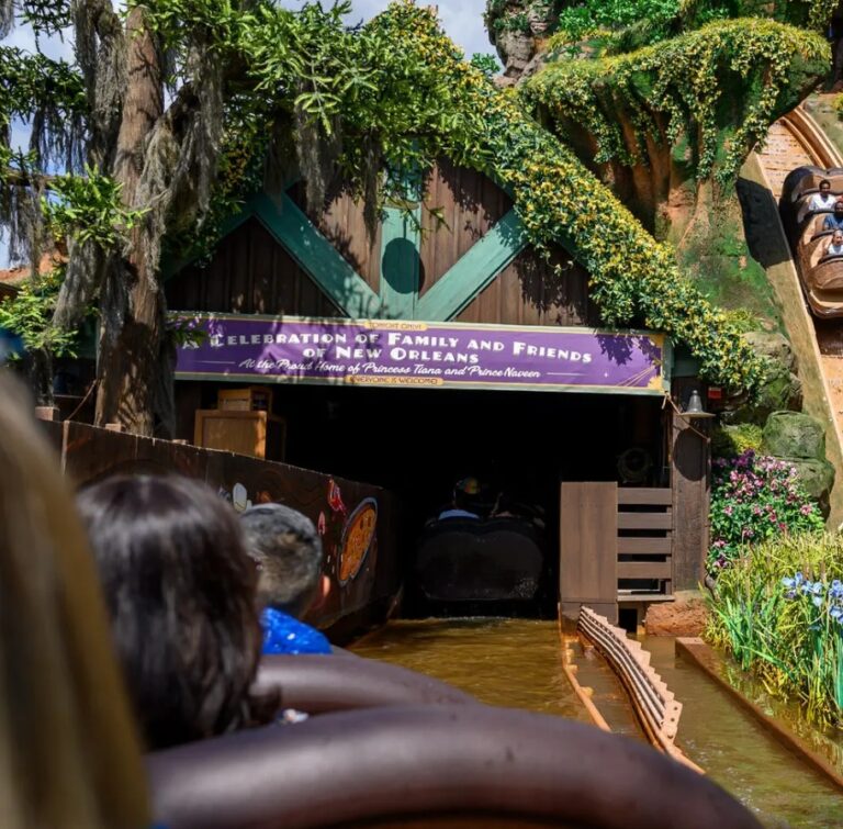 Disney Reports Robust Business At Its Theme Parks