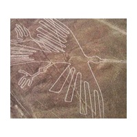 Peru Reduces Protected Area Around Nazca Lines By Half, And Archaeologists Are Alarmed