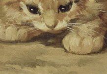 This Book Cover Trend Is Starting To Get Annoying