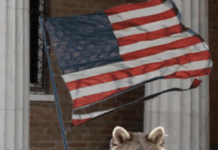 A New Proposal For The US At The Venice Biennale Is, Uh, Not Great