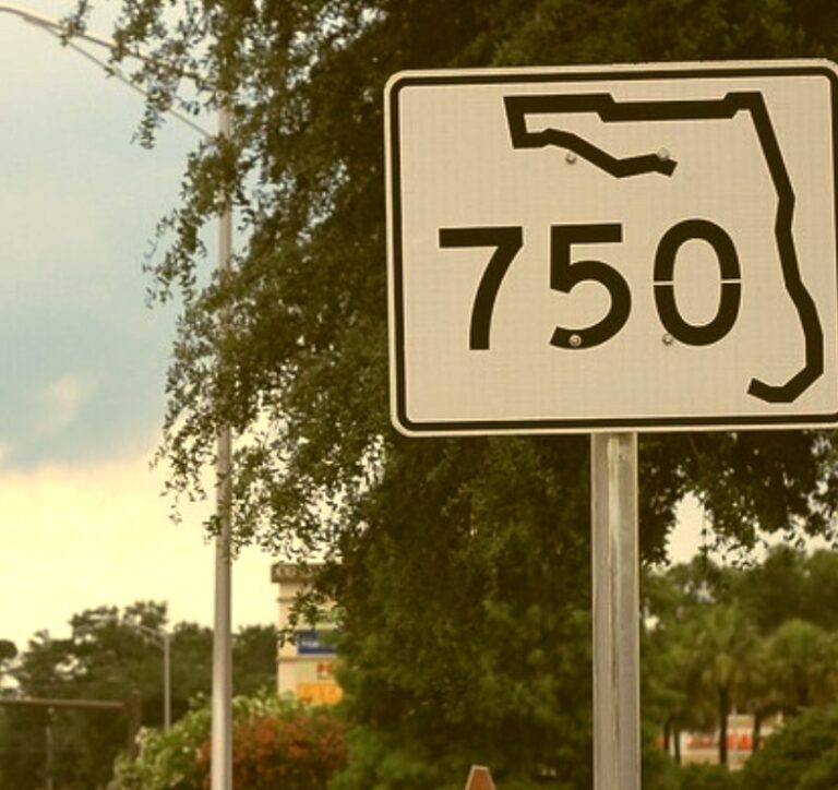 Inside Pensacola, America’s Book-Banning Capital