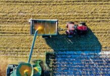 Fish Out Of Water: A Working Class Writer At The Iowa Writers’ Workshop