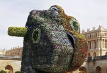 Jeff Koons’ Giant Topiary Will Anchor New LACMA