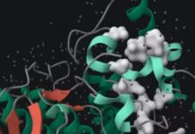 The Science Of Visual Learning