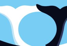 We’re About To Be Able To Translate Animal Languages. Then What?