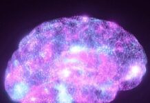 Just Whom Are We Calling A Genius?