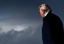 Trump Takes Over Arts Institutions. But Can He?