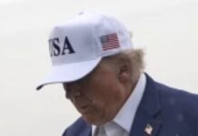 Judge Rules Trump Can Dismantle Institute of Museum and Library Services