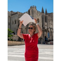 The Avignon Festival Copes With Ever-Increasing Temperatures