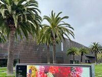 San Francisco’s Flagship Art Museums Lay Off 5% Of Staff
