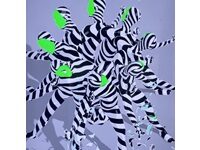 Doris Duke Theater At Jacob’s Pillow, Literally Risen From Ashes, Is Now One Of World’s Highest-Tech Dance Venues