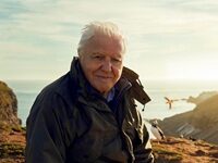 UK’s Broadcasting Regulator Says Public Service TV Is Becoming An “Endangered Species”