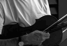 The Viola Would Like Your Attention, Please