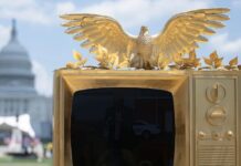 Dissident Art: A Dancing Trump On The National Mall