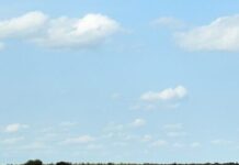 Is There Cultural Resonance In Silenced Languages?