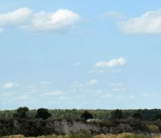 Is There Cultural Resonance In Silenced Languages?