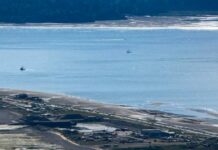 Where Defunding Public Broadcasting Will Really Matter