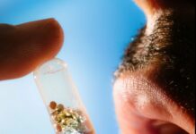 Our Obsession With “Wellness” Has Gotten Seriously Distorted