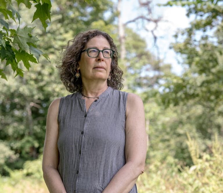 Harvard Publisher Abruptly Cancels Journal Issue Devoted To Palestine