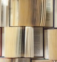 The Prolific Writer Phenomenon