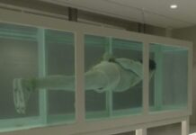 Barcelona’s Museum Of Forbidden Art Closes After Protests