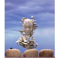 The Weather Gods Have Not Blessed Burning Man This Year