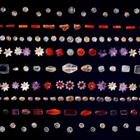 Gems Revered As Relics Of Buddha Returned From Sotheby’s To India