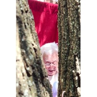 The Play Where You Are The Actor And The Audience Is A Tree