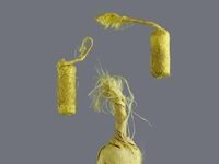 Reading Tiny Buddhist Scrolls Without Damaging Them By Unrolling