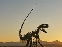 How Did Dinosaur Bones Get To Be As Expensive As Old Master Paintings?