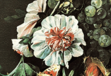 The Woman Who Perfected Flower Painting Was Once More Famous Than Vermeer