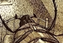 It’s Time To Re-Title A Famous Kafka Book