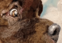 How The Twin Cities Deal With Art, And Artists, Rejected From The State Fair