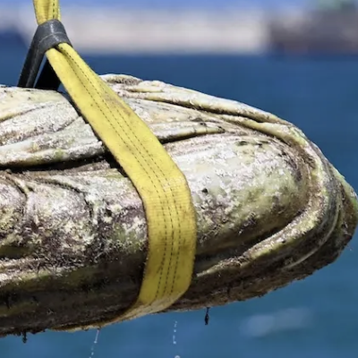 In Egypt, Divers And Officials Recover Ancient Ruins From The Mediterranean