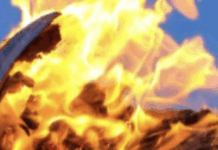 Book Banners Don’t Want Anyone, Including Adults, To Be Able To Read Romance Novels