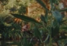 The Fight To Preserve Monet’s Beloved Giverny Gardens